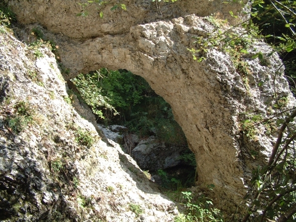 Sculture naturali